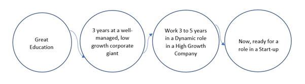 Traditional Career plan of graduates 